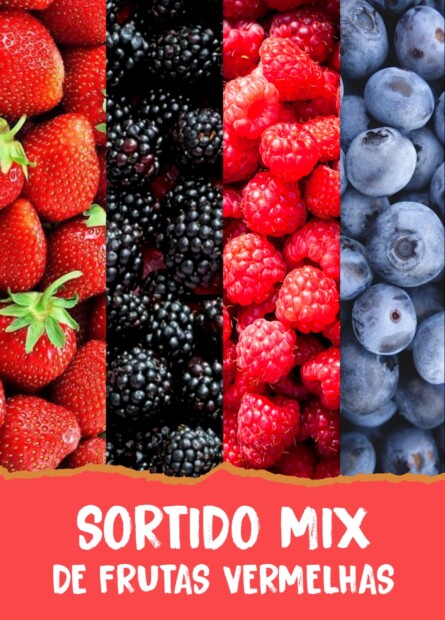 SORTIDO MIX DE FRUTAS VERMELHAS - Natural Serra